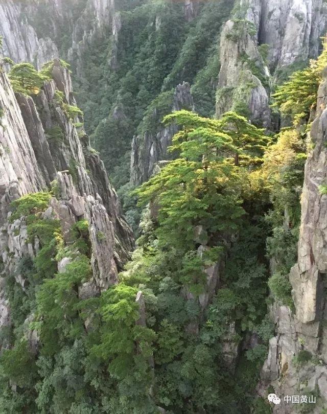 为大连足球振兴发展探寻路径